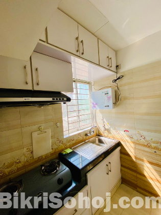 Furnished 2 Bedroom Apartment Rent in Bashundhara R/A